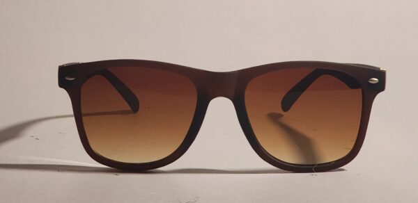 A Brown Wayfarer